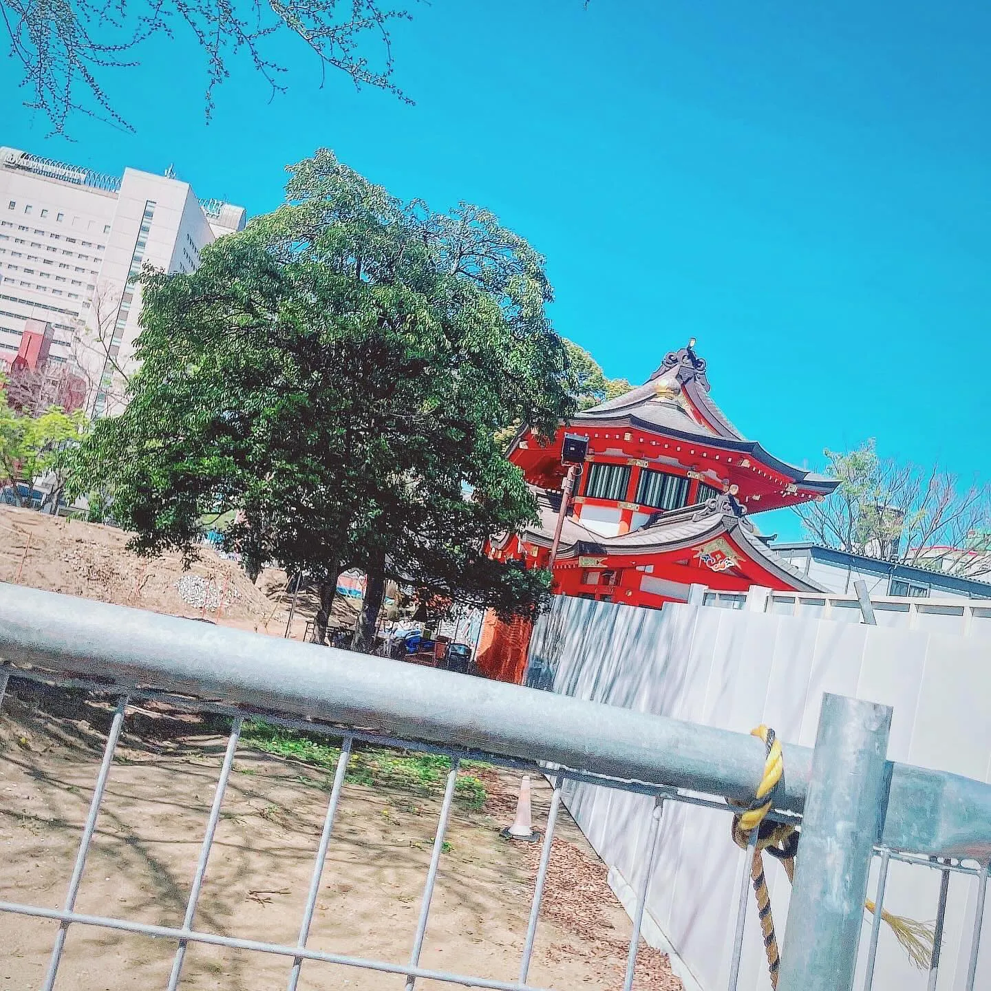 こんにちは☀️