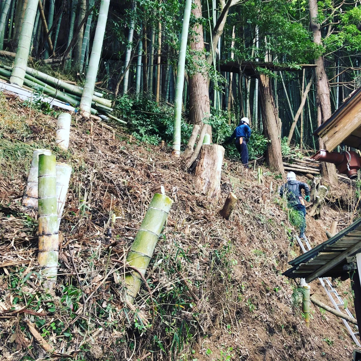 千葉県千葉市でリフォームを手掛けている株式会社エスハウスドッ...