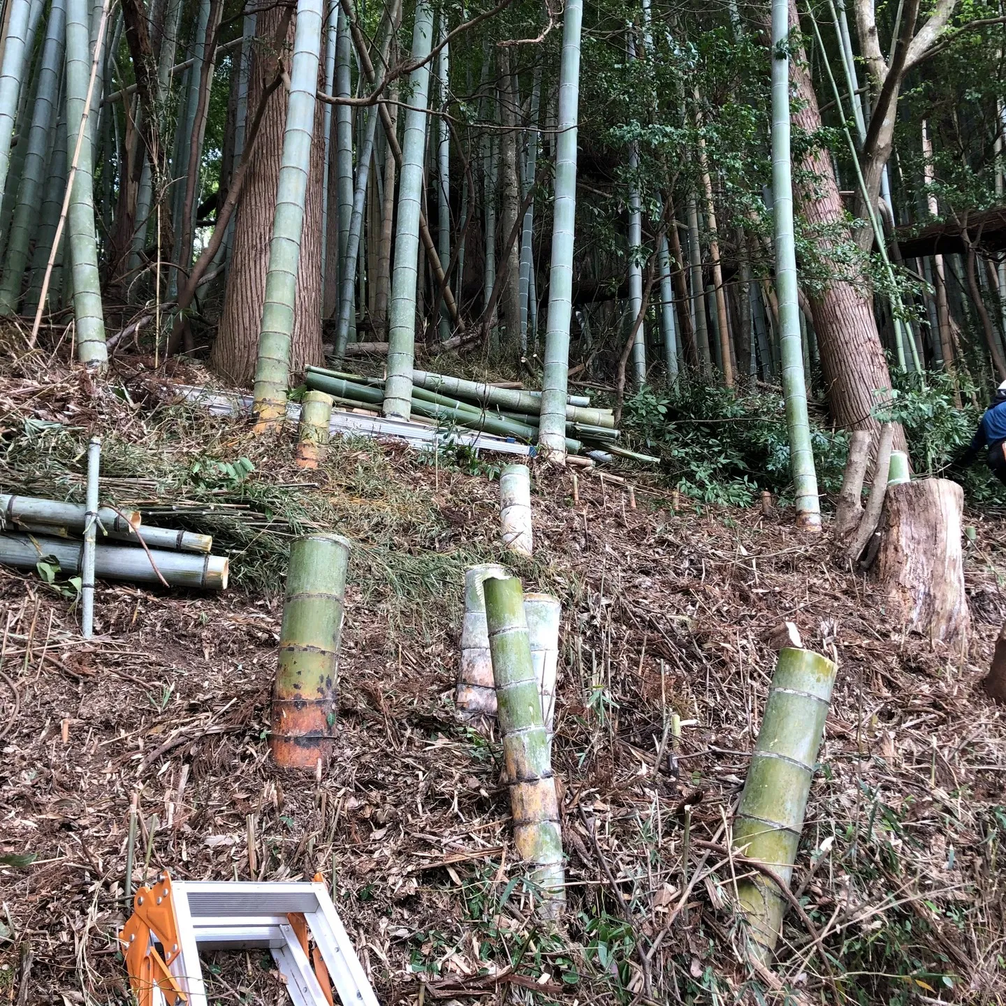 千葉県千葉市でリフォームを手掛けている株式会社エスハウスドッ...