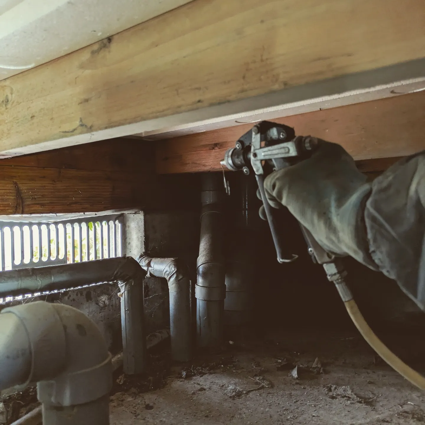 こんにちは🌟。