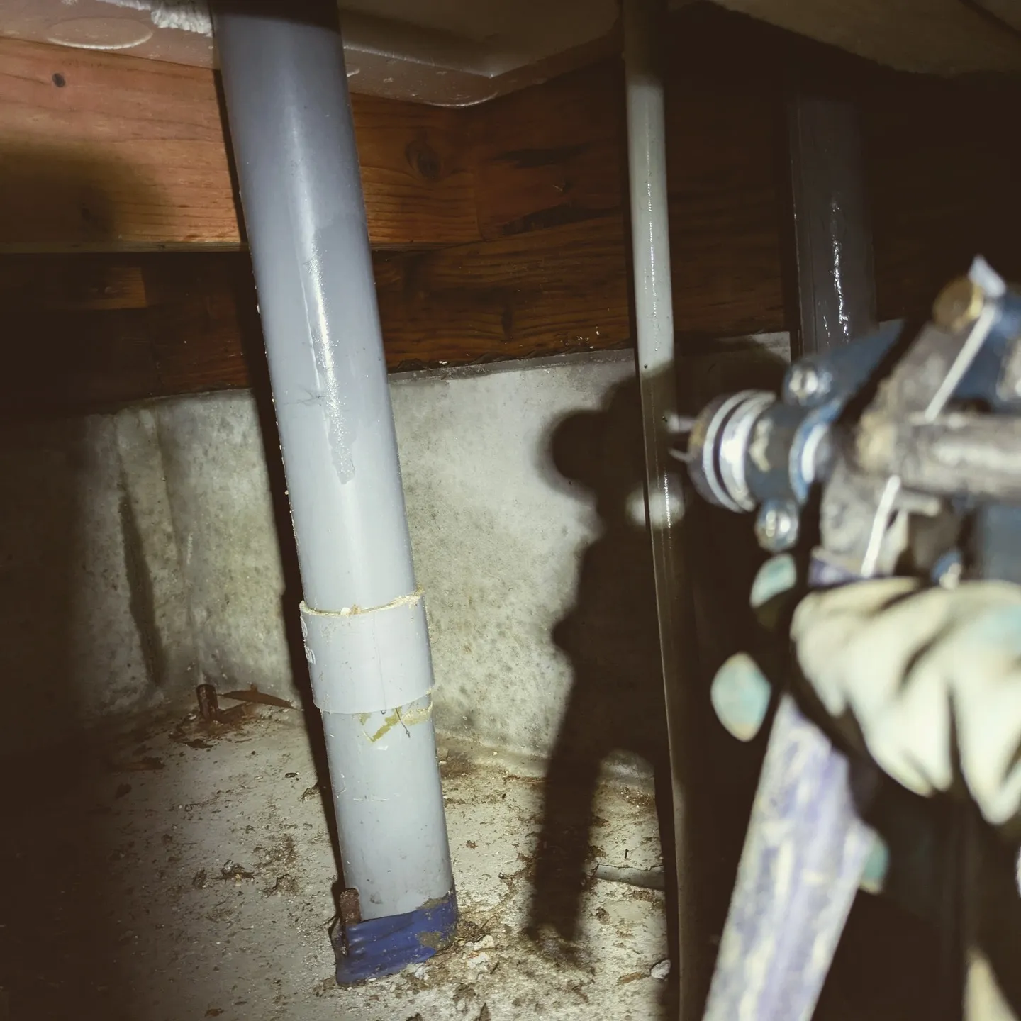 こんにちは🌟。