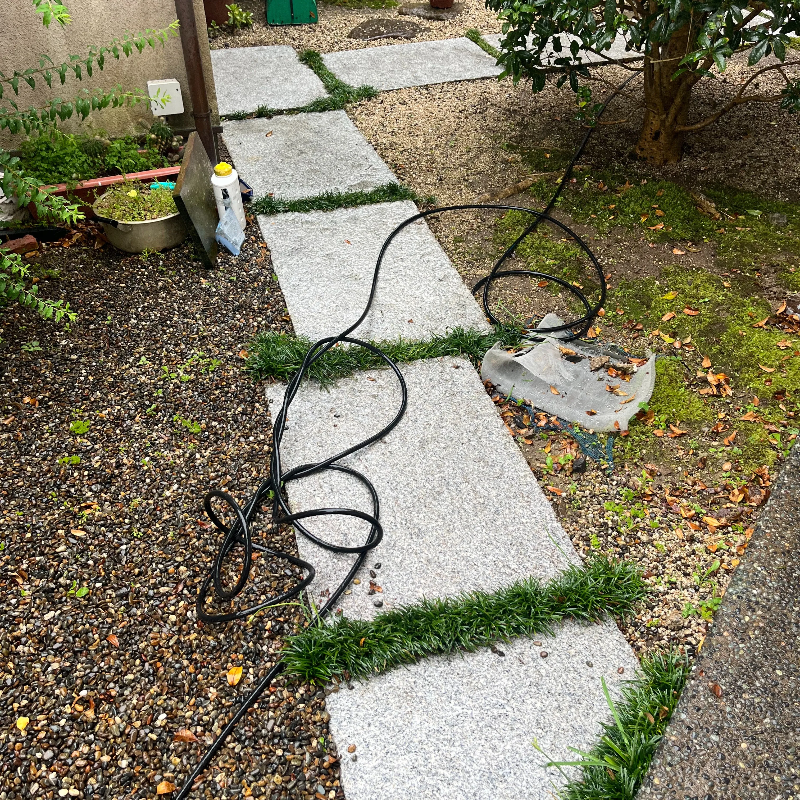 こんにちは。